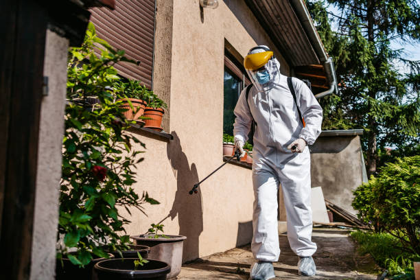 Best Cockroach Control Services  in Balfour, NC