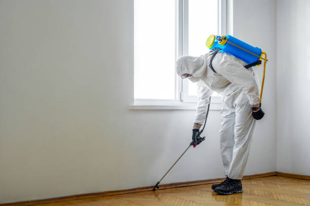 Best Best Pest Control Companies  in Balfour, NC