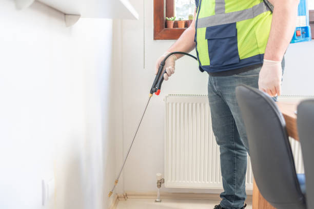 Best Emergency Pest Control  in Balfour, NC