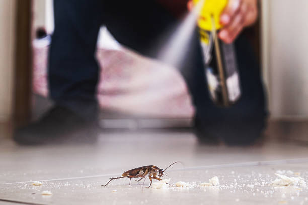 Best Commercial Pest Control Services  in Balfour, NC