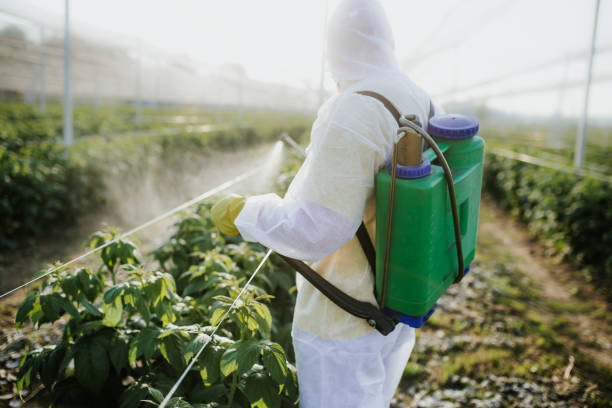 Best Pest Control Near Me  in Balfour, NC